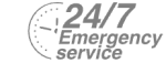 24/7 Emergency Service Pest Control in Erith, Northumberland Heath, DA8. Call Now! 020 8166 9746