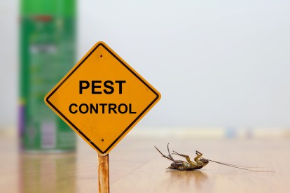 Pest Contol in Erith, Northumberland Heath, DA8. Call Now 020 8166 9746